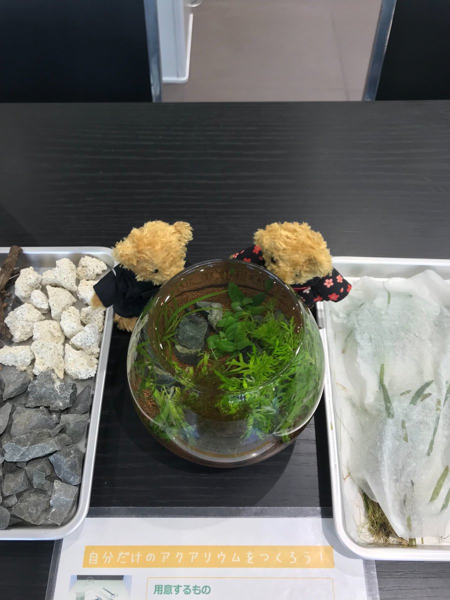 AudiMeguro's tweet photo. vol.10
「ちょっ、ちょっと、まだかい？」
「重くないでしょ！」
「これがワークショップの完成形なんだな。」
「素敵ね〜。🌱」
「そろそろ、交代して…。」
「まあーだっ！」
＃BULBVASE ＃電球型グラス https://t.co/mehjSXl8Za