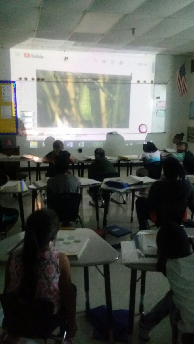 AJohnson2K18's tweet photo. We talked about the lifecycle of a butterfly and frog. They were more amazed to see the actual videos. https://t.co/0pJGMv6Mii