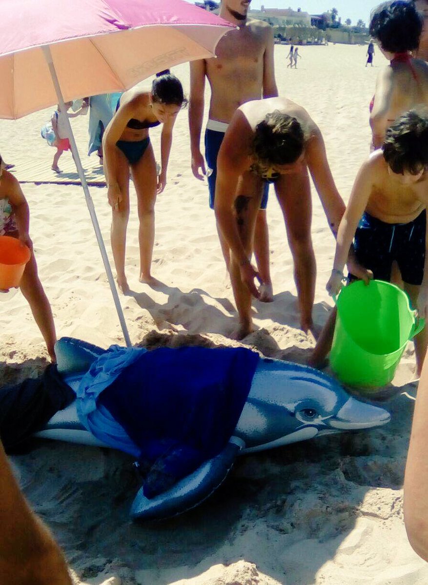 EcoherenciaSCA's tweet photo. Acabamos la semana recordando como gracias a los voluntarios, a @actiba2000 y a la @FBiodiversidad pudimos aprender sobre cómo rescatar al delfín Fliper, a la orca Willy y la tortuga Morla. ¡Para apuntarte a nuevas actividades inscríbete en nuestro boletín https://t.co/ZxxV8rjGcq https://t.co/HSJXarEyu7