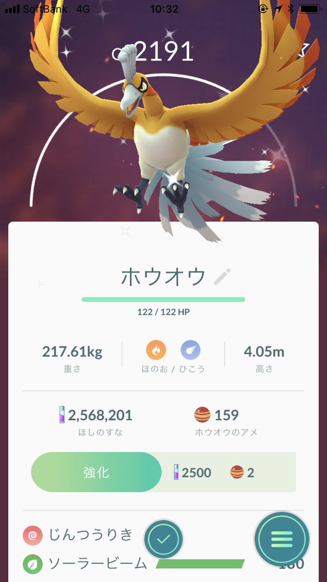 オンラインショップの販売 イトビ様専用 ホウオウ Docteur Wading Fr