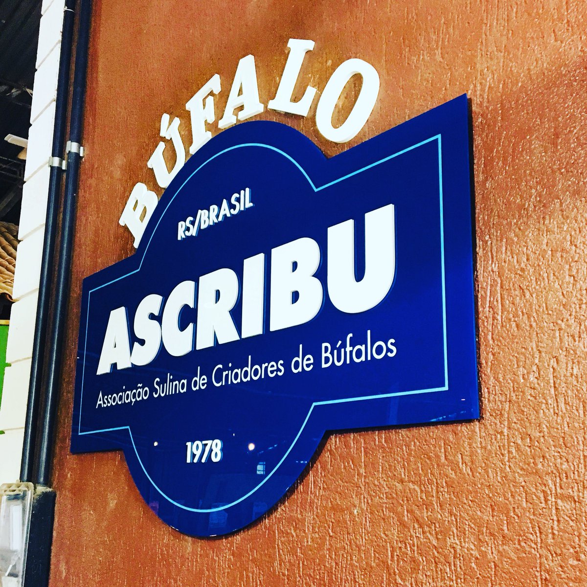 AgenciaBedez's tweet image. Entregamos hoje o novo letreiro da  #Ascribu. Letra caixa em acrílico pintado. O material faz parte dos 40 anos do búfalo gaúcho. #ascribu40anos #bedez #signs #acrylicletters #bufalo #brading #expointer2018