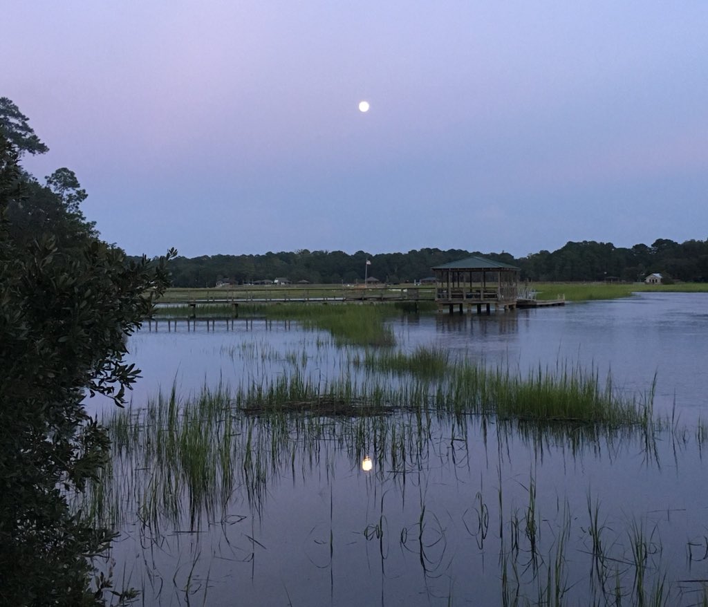 MELambright's tweet image. Full moon rises over the marsh at high tide. ❤️ #mybackyard #fullmoon #tidalcreek #saltlife