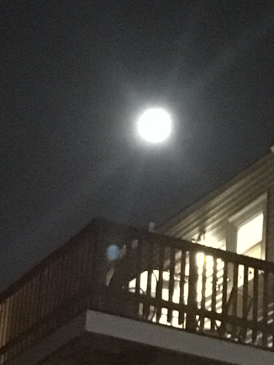 UMDMoonUnit's tweet image. Moons out!