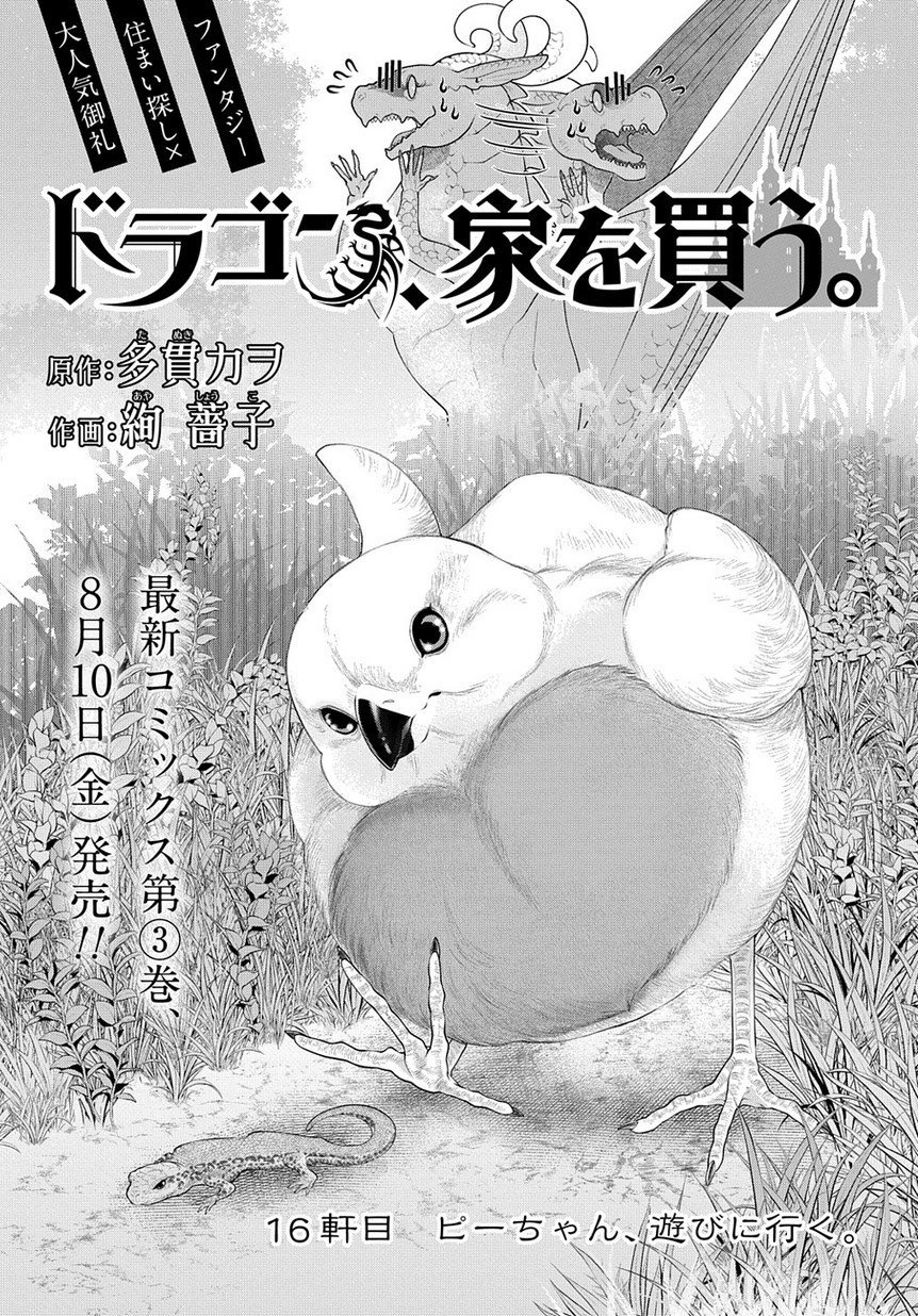 未使用品】 ドラゴン 家を買う 1 絢薔子 直筆イラスト入りサイン本