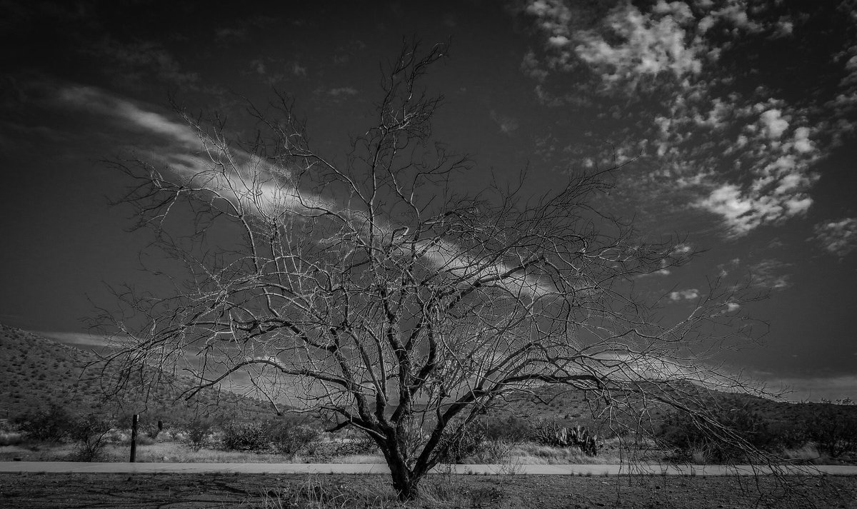_ArizonaAdam's tweet image. Black and white photography is one of my favorites. #Blackandwhitephotos #photography