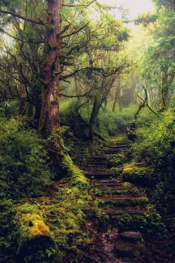 ✨~T~✨ tweet media