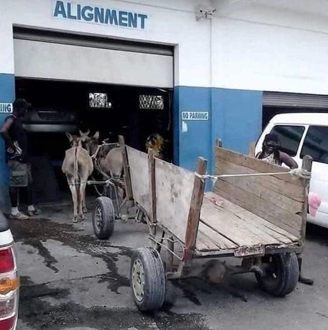 fluffymisskitty's tweet photo. 😱😱😮😮 WHAT THA FLUFF??? 👨‍✈Jesus me a guide!! A wah cudda really cuz all this?? Like me wudda want see how da servicing yah guh!! #CartCheck 🐴 🐴

#WhatThaFluff #WTF #Mechanic #Donkey #Animal #ServiceCheck #Alignment #Car #Transportation https://t.co/LSa3182xZE https://t.co/7yCrmDuZEq