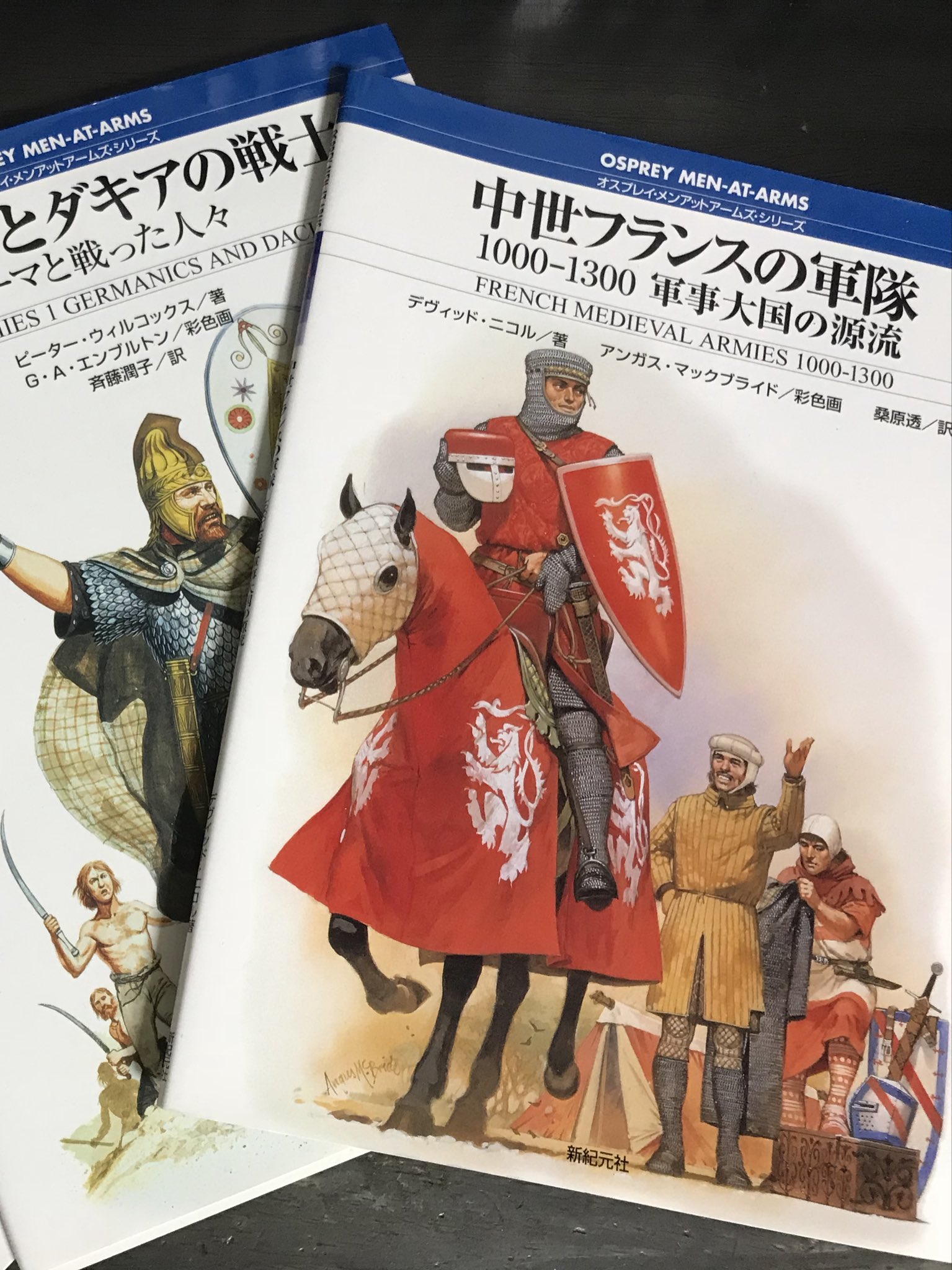 オスプレイ メンアットアームズ シリーズ23冊