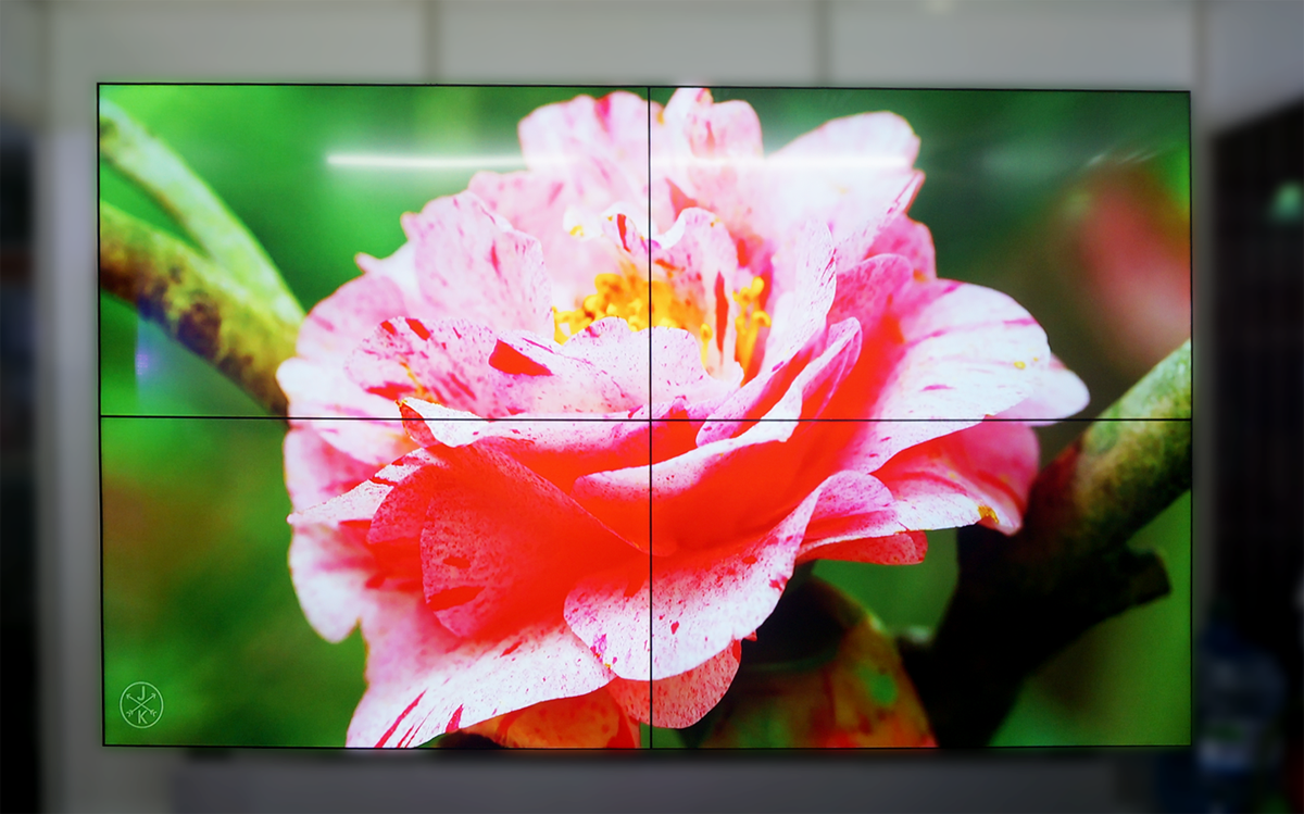 Alo360C's tweet photo. Arirang videowall

#beautiful #alo360 #real #digitalsignage https://t.co/vU5pP2fAtc