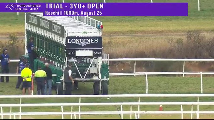 Dlam7IXU8AUevk_?format=jpg&name=small