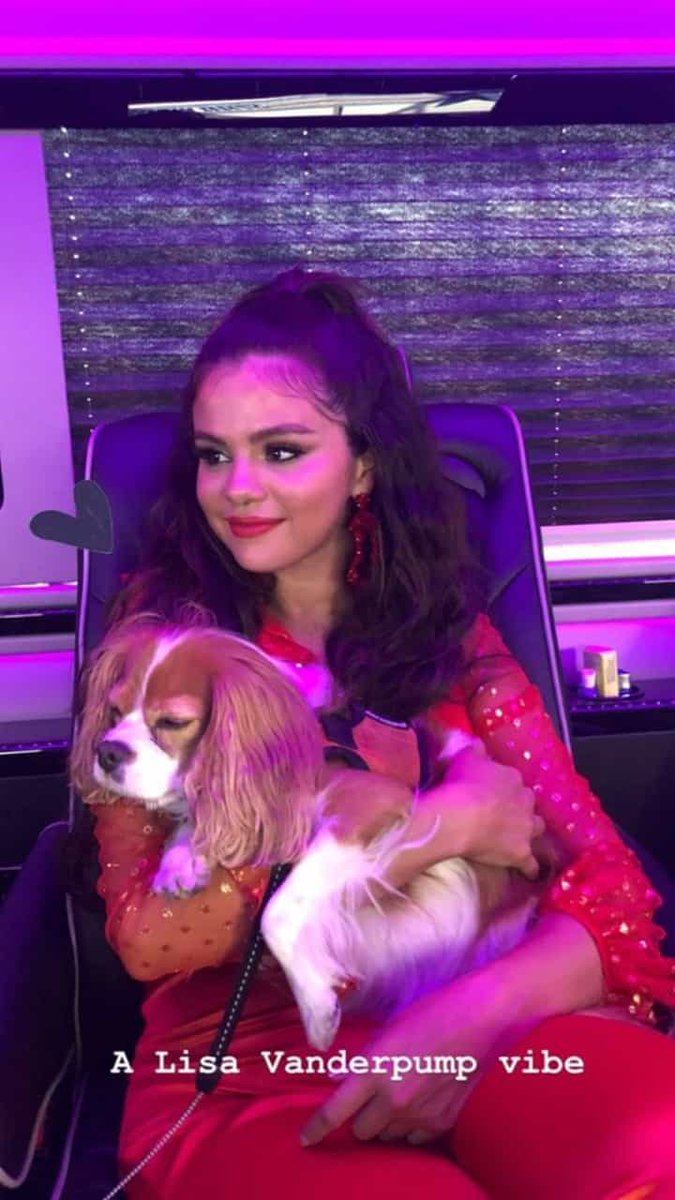 MOREIRAERICSG19's tweet photo. Perfecta #MMVAS #FFSingleWolves #iHeartRadioMMVAs #SelenaIsComing https://t.co/GeycQySrwY