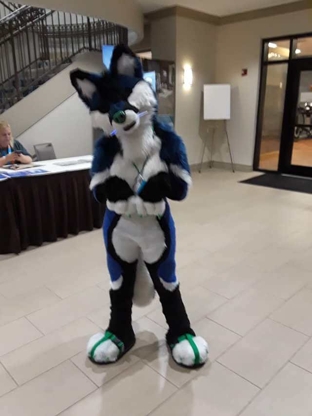 Dukorywolf's tweet photo. :3 #Mplex2018 https://t.co/eIWOStnHAl