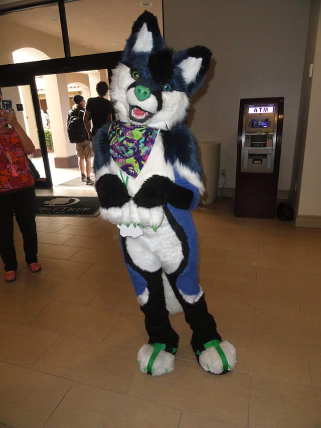 Dukorywolf's tweet photo. :3 #Mplex2018 https://t.co/eIWOStnHAl