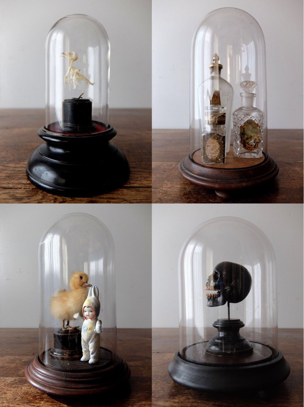 krank ガラスドーム 【公式通販】