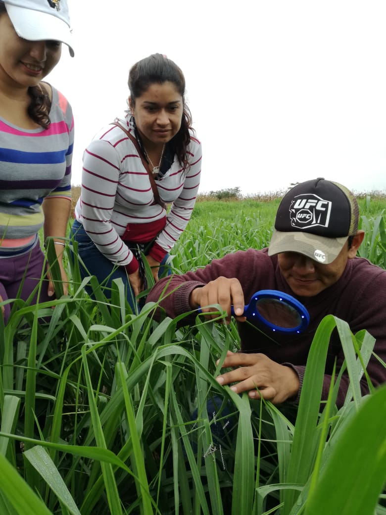 sancandoris1968's tweet photo. #YoPostuloAlItspem a la carrera de Tecnología Superior en Producción Agropecuaria, Paulo EmilioMacías #SomosTercerNivel @blanceli @mcgregorio_58 @ITSPEM1 https://t.co/WuWbUEVotI