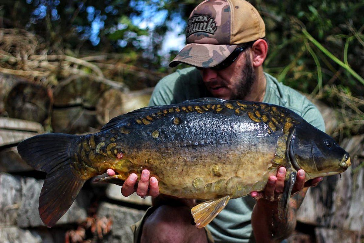 BowyerNez's tweet photo. Effort = Rewards. @DNABaitsUK Secret 7 and wraysberrie pop up. https://t.co/GFpWUzQBkx