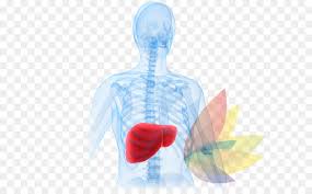Infectiousdis2's tweet photo. Recurrence and Severe Worsening of #Hepatotoxicity After Reintroduction of #Atorvastatin in Combination With Ezetimibe.
For more details: Visit Journal of Infectious Diseases &amp; Immune Therapies Journal Home page - SciTechnol https://t.co/wpn8yu0Myy