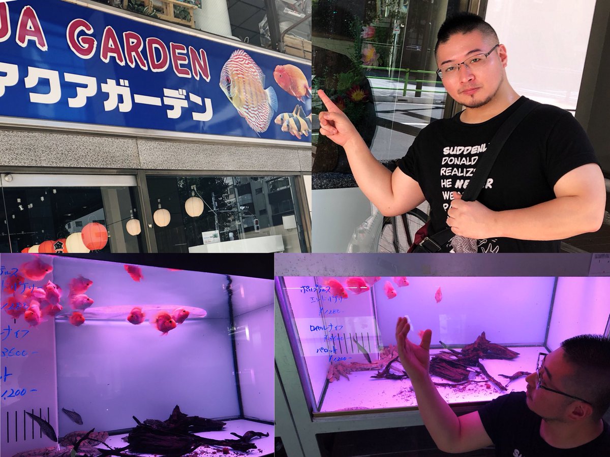 パウパウ Trsene V Twitter