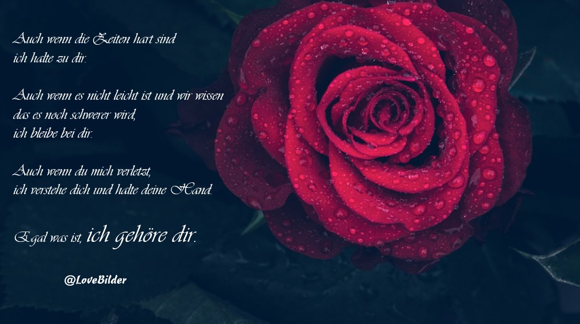 Emotionale Love Bilder Freundschaft Zum Nachdenken Romantisch Furimmerdein Liebe Freundschaft Wahreliebe Truelove Love Lieblingsmensch Liebeserklarung Iloveyou Schonespruche Weisheit T Co Qz2u7duims