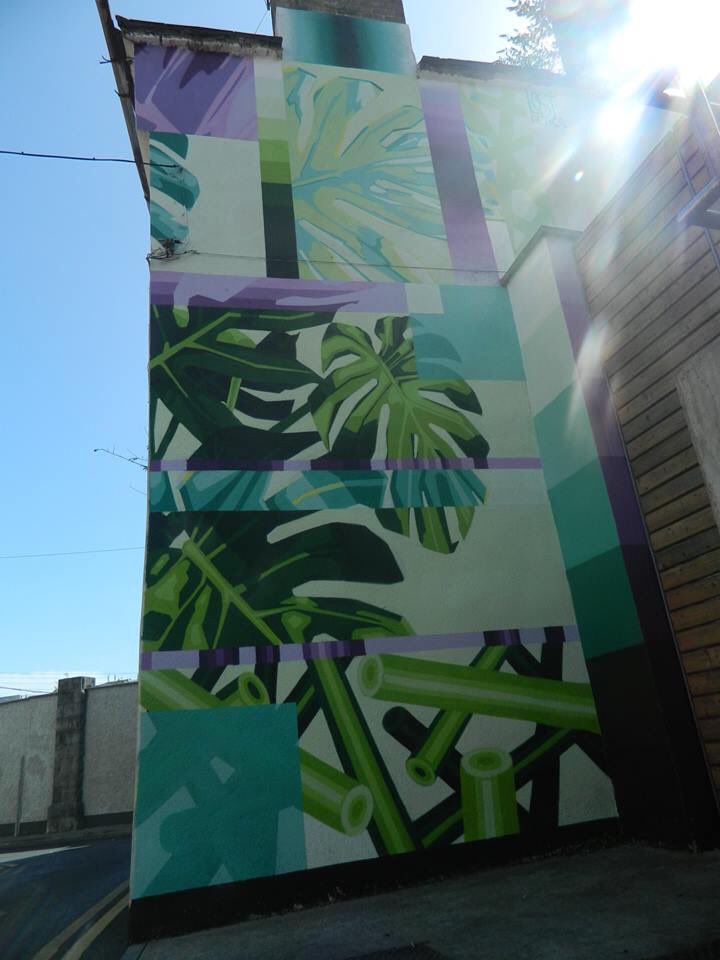 StreetArtInk's tweet photo. #LostOptics’ piece for #WaterfordWalls #StreetArt Festival 2018 on Bank Lane supported by @themunsterbars #TheOliveTreeTapasWineBar #JordansBar & #LaFontana https://t.co/ykUseubrNj