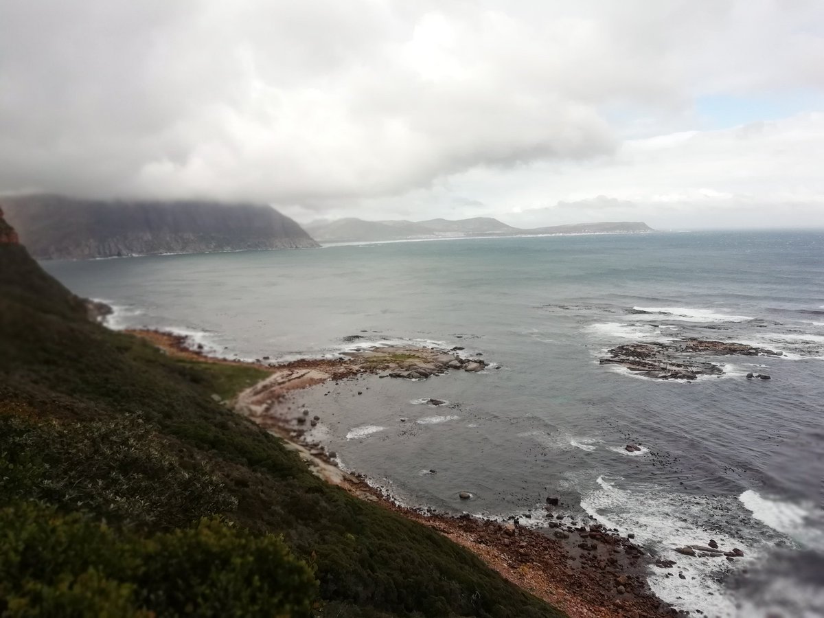 D7events's tweet photo. In my #backtard #HoutBayVibez #ILoveHoutbay gem #discovery with @KarbonkelbergT https://t.co/pXyJ5Nq4Ir