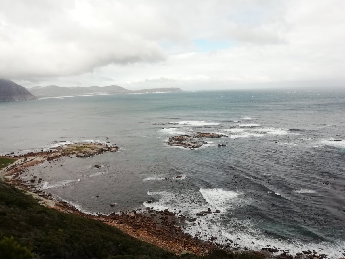 D7events's tweet photo. In my #backtard #HoutBayVibez #ILoveHoutbay gem #discovery with @KarbonkelbergT https://t.co/pXyJ5Nq4Ir