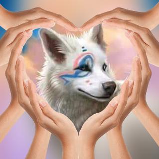 Kaymo_wolf's tweet image. Let's show some love for our dearest white wolf 
Is it beautiful with the rainbow line in the eye 
I love wolves 🐺🐺🐺