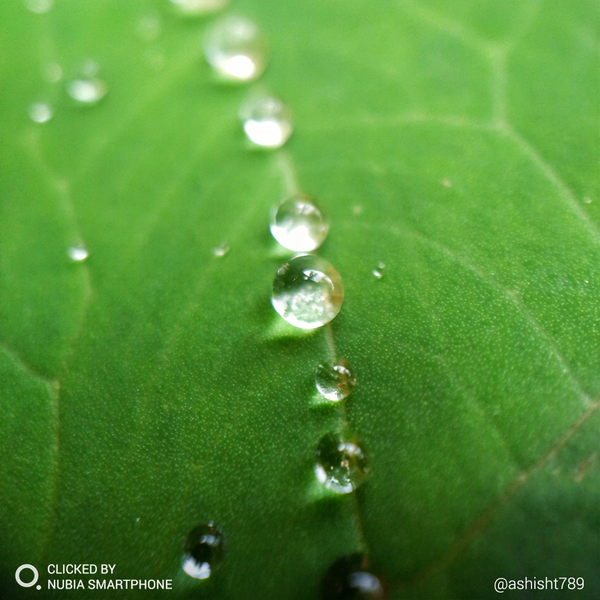 nubia_India's tweet photo. Save every precious drop. Share your eco-friendly initiatives in the comment section below. #Regram @ashisht789

#ClickedBynubia using Z11 mini S. #nubiaIndia #Photography https://t.co/8PQ1dr7ORH