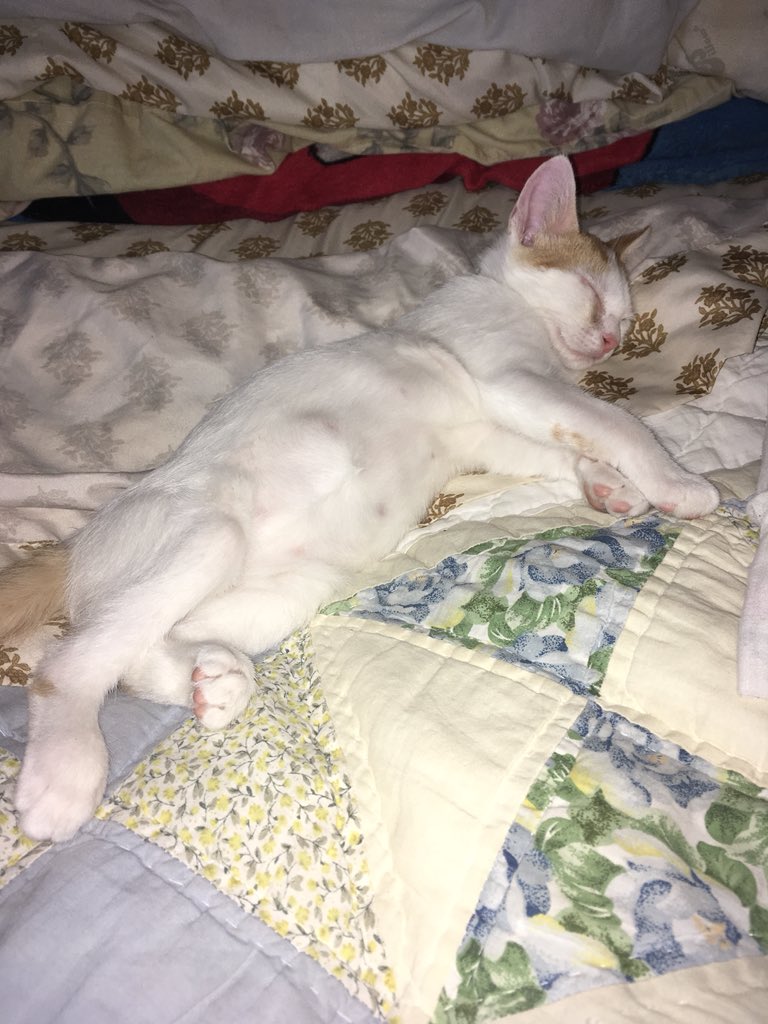 Weekends by Lindy S. Hudis Weekends by Lindy S. Hudis