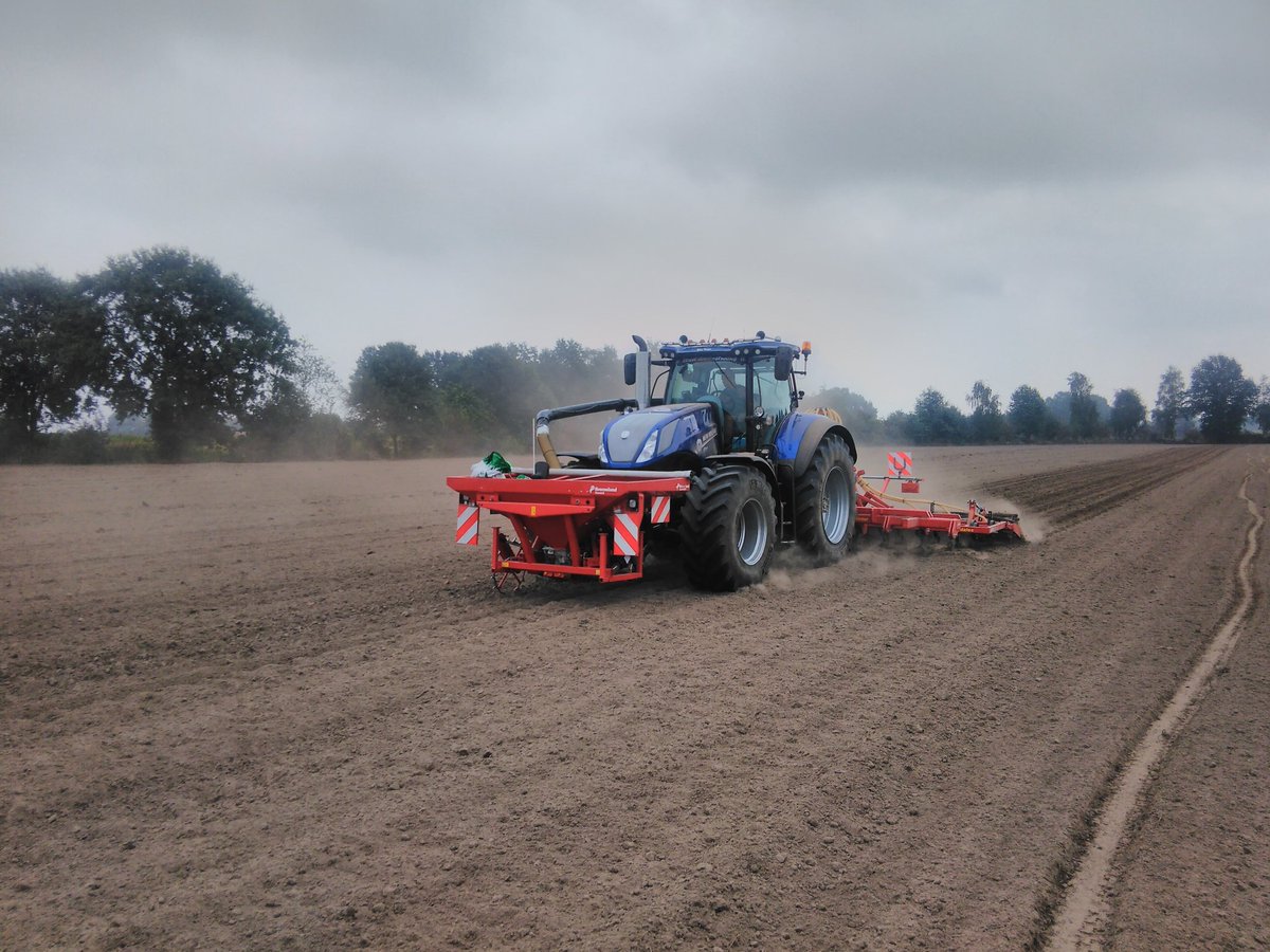 Maickel Roost tweet media