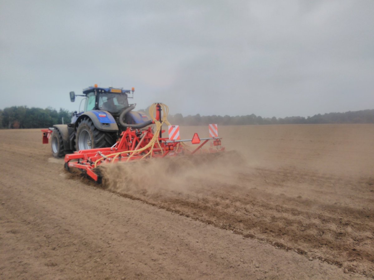 Maickel Roost tweet media