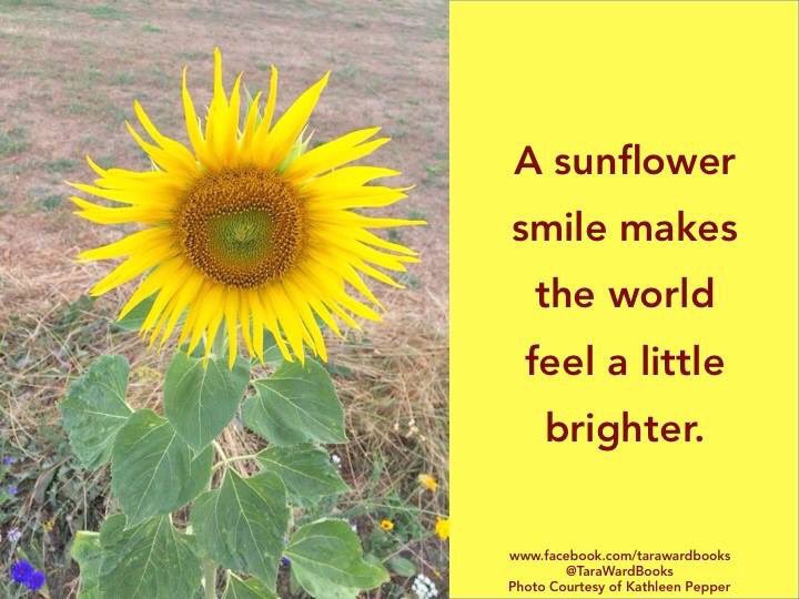 TaraWardBooks's tweet photo. Have a good weekend, everyone. This is why I love #sunflowers because ... https://t.co/RKSwhFubLb
