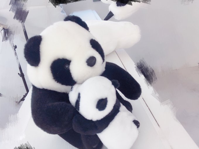 コスプレイヤー蒼馬月葵のTwitter画像31