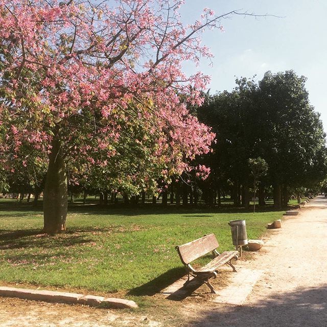 StordarLearn's tweet photo. Have a nice weekend, everybody! 🗺
How do you relax? What do you like doing at the weekends?
#weekend #iloveparks #parksandrecreation #parksaroundtheworld #niceplaces #travelflashback #instatravelling #beautifuleurope #europe #europedrive #teachersne… https://t.co/bplltDLezd https://t.co/nFEf367FcS