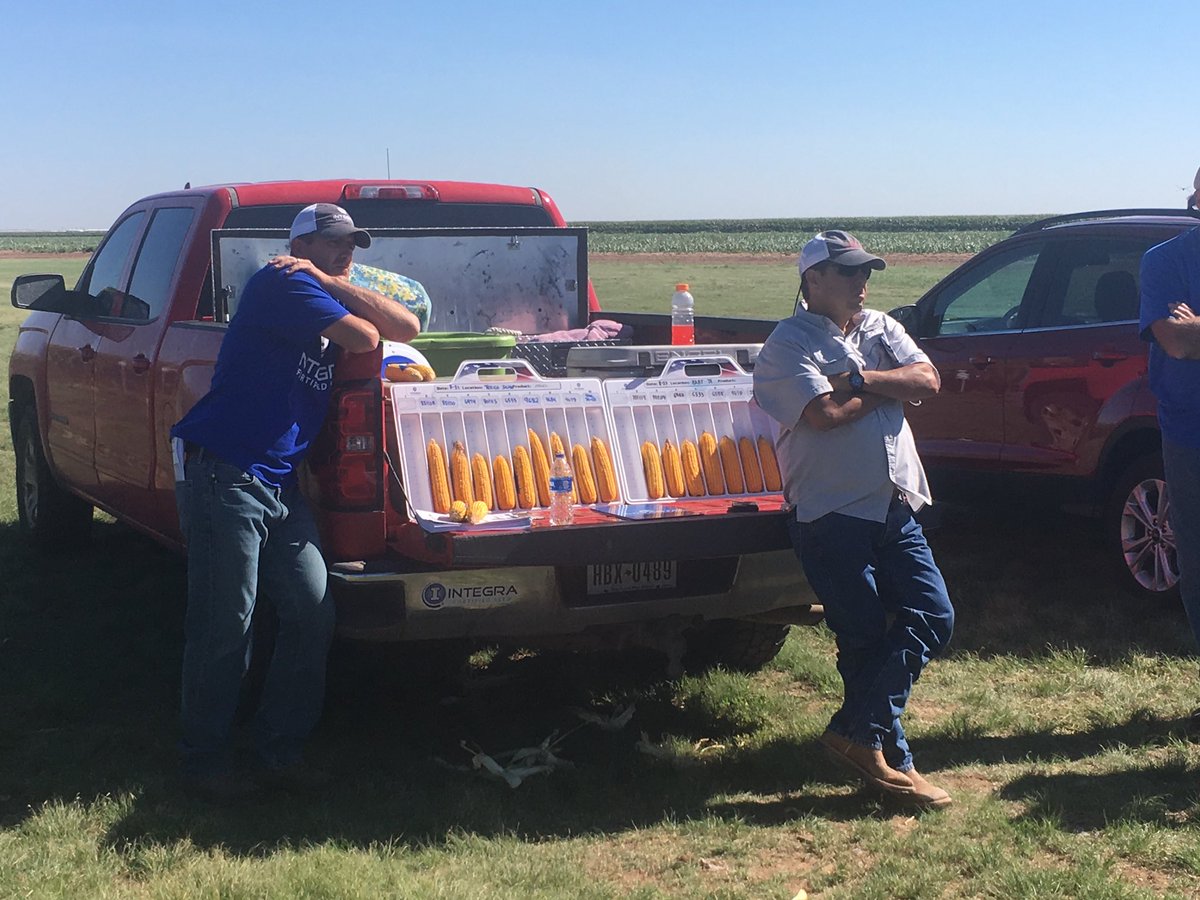 AaronPetersen20's tweet photo. West Texas Agronomic and product training. #IntegraSeed  #IntegraCorn https://t.co/F2M4sqP1Z1