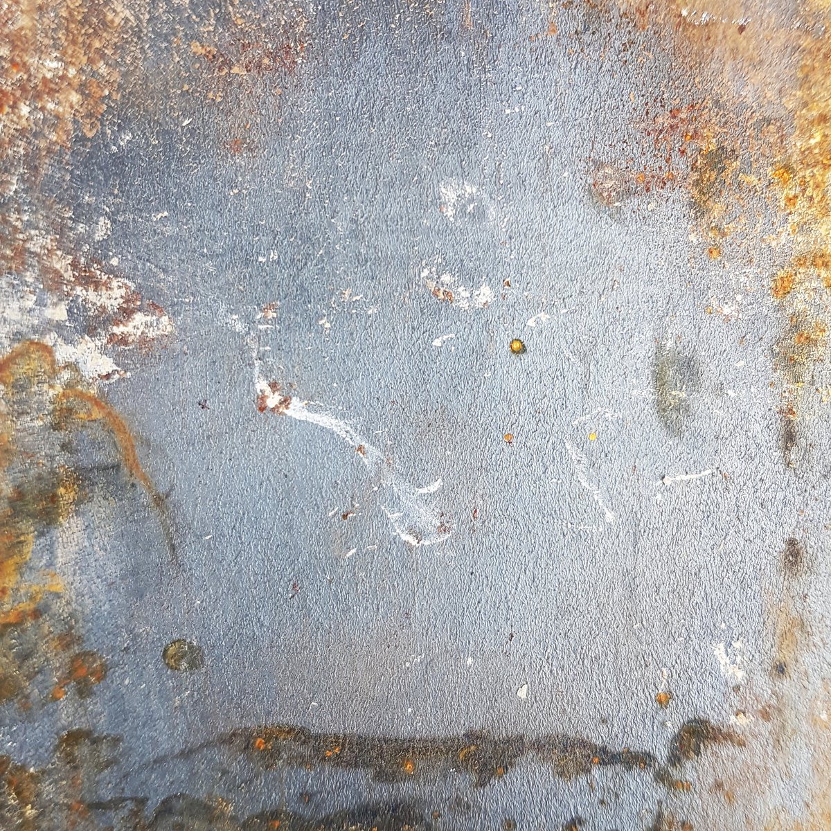 Steve Williams tweet media