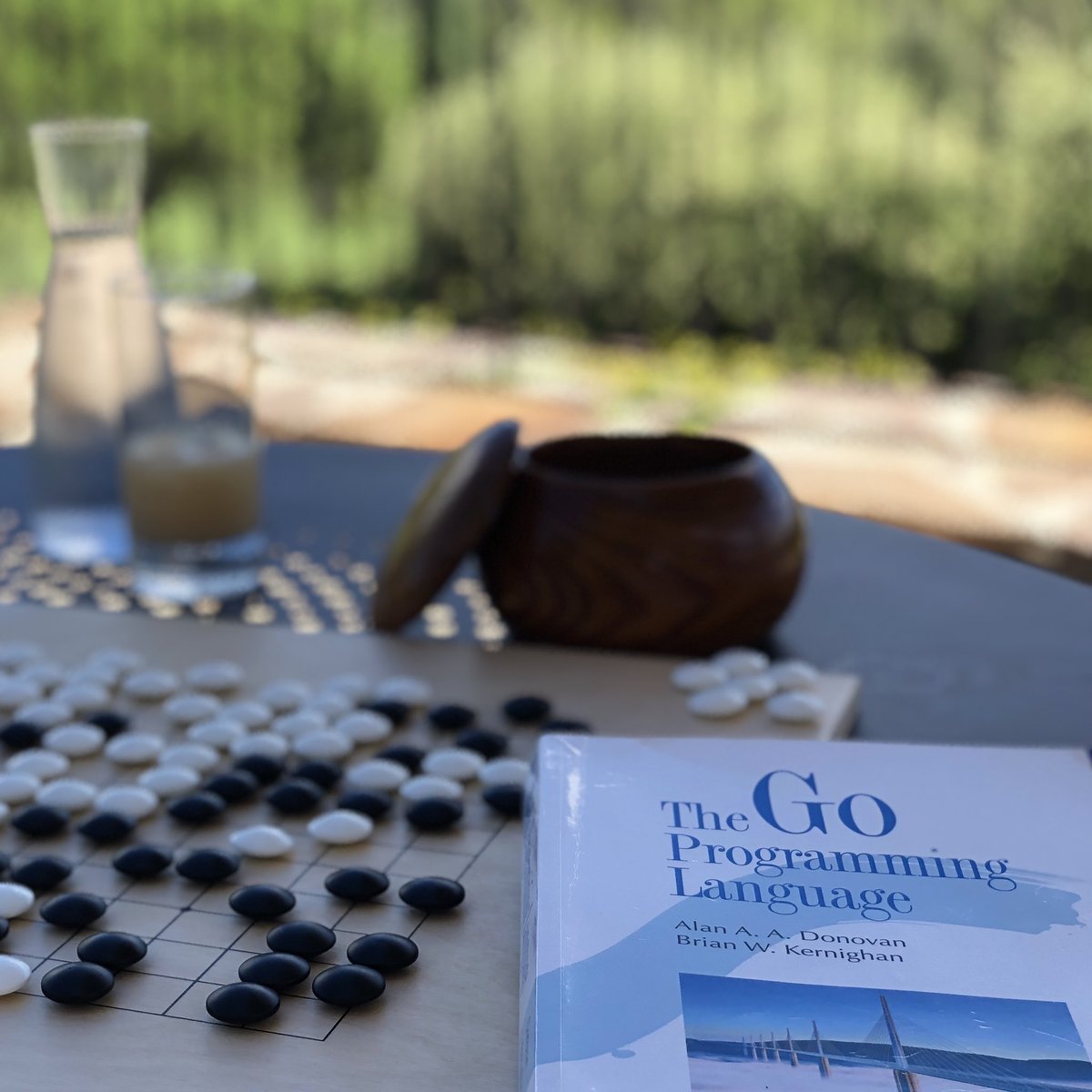 I am a strong believer in continuous learning. This summer vacation, I decided to dip my toes into Go. It turned out rather like total Go immersion. ;) <a href="/golang/">Go</a> #gogame