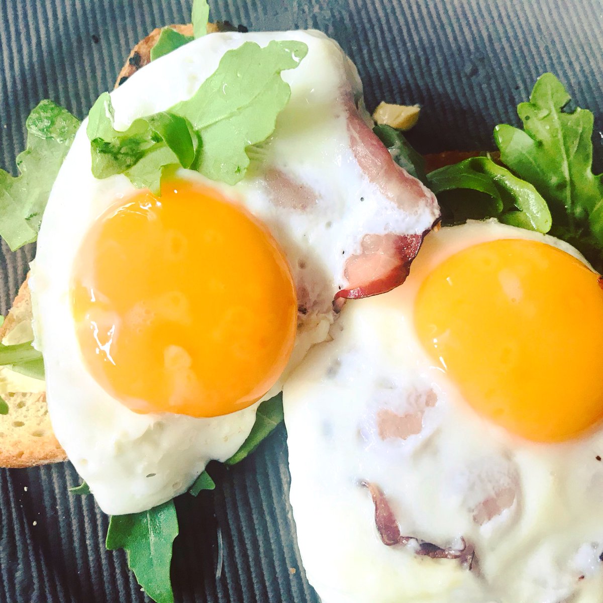 Ana_Okolus's tweet photo. Best jajo 😍😛 #smacznego #miłegodnia #sadzone #śniadanie #breakfast #eggs @Daretzki https://t.co/J1FoKQ20BU