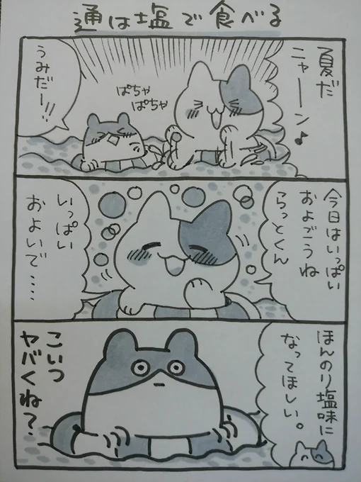 【木村書店フリーペーパーのお知らせ②】
26日は定休日となりますが、27日朝よりレジ前にてvol.2を用意しておりますのでご来店の際は是非お持ち帰り下さい。vol.2も「きむねこちゃんとらっとくん」ほのぼの漫画です。これからも木村書店をよろしくお願いいたします♪
ポップ担当より 