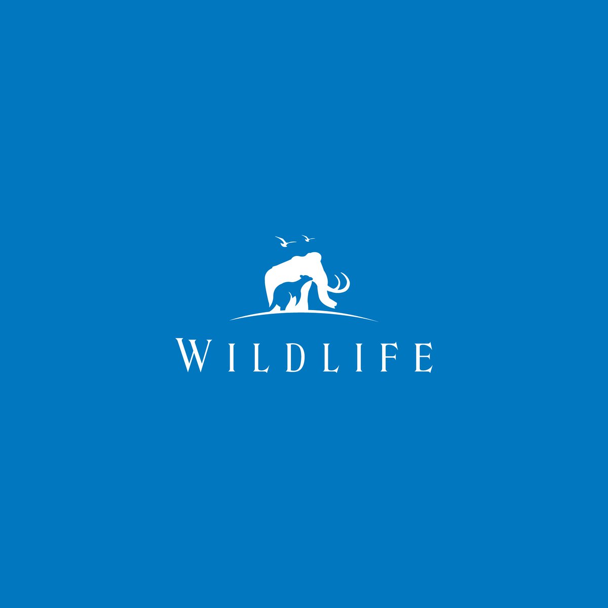 iamwrazerr's tweet photo. Logo Challenge #5 - Wildlife Logo: A non-profit organization that preserves the life and habitat of wild animals throughout the world 🦁 #ThirtyLogos #logo #design #challenge #branding #illustrator https://t.co/212awOJfjn