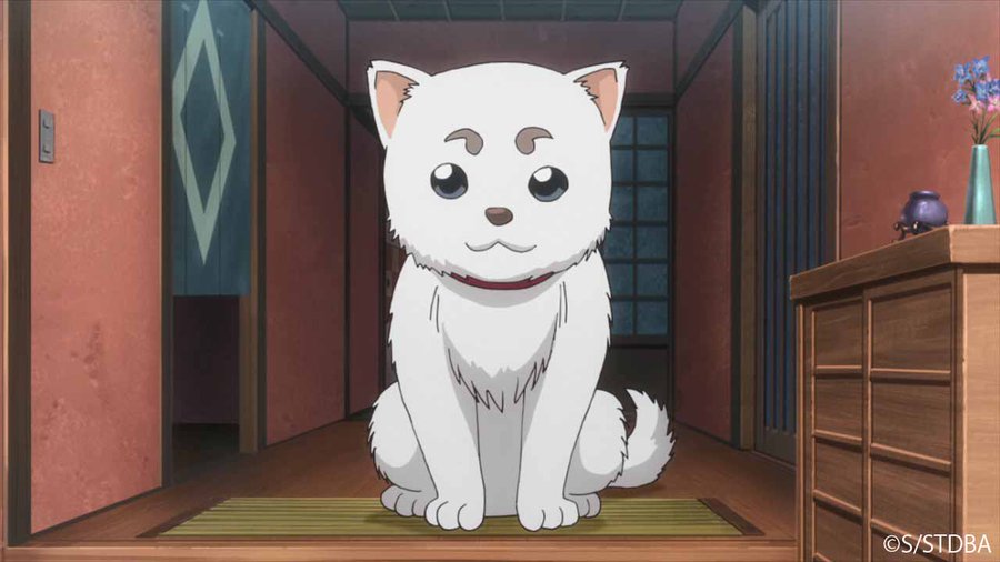 犬のキャラクターランキング わんちゃんホンポ