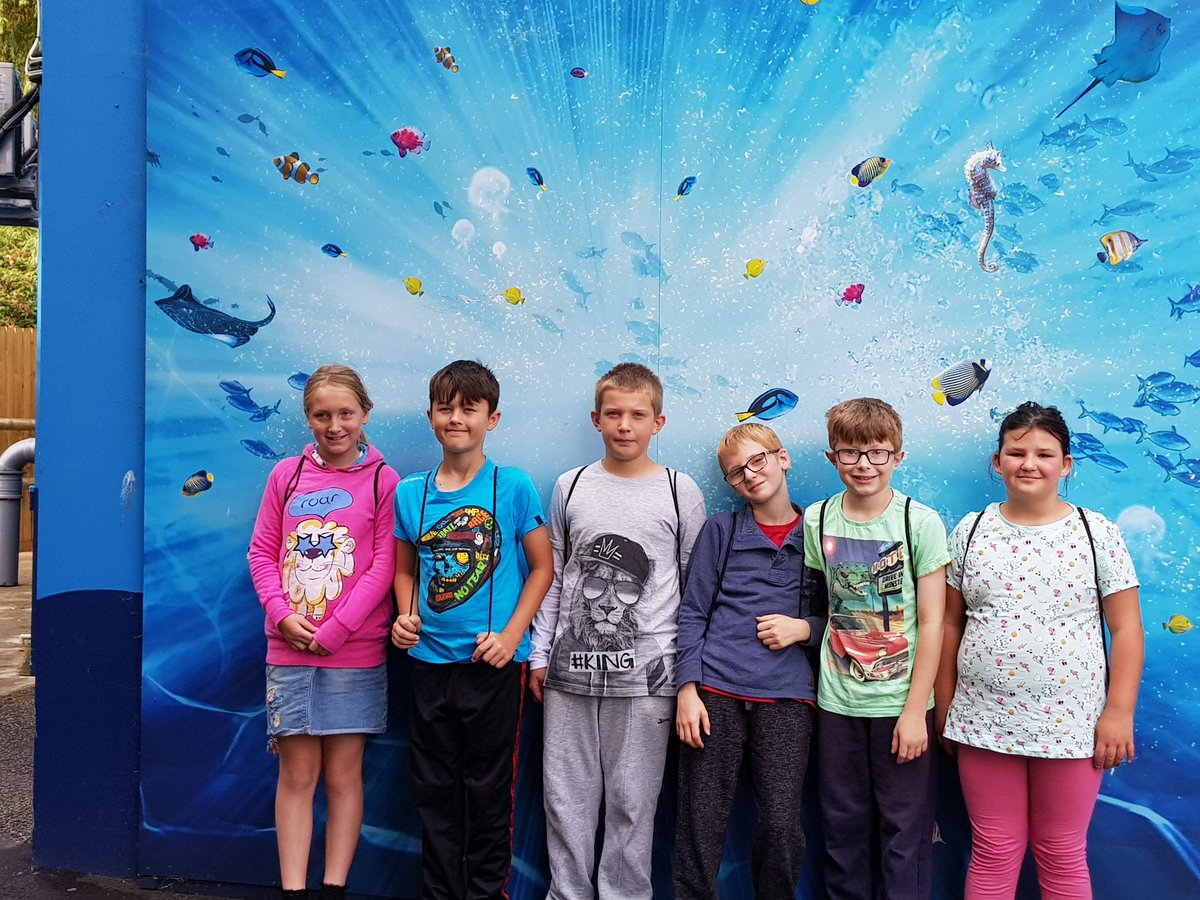 Brilliant week of sailing and power boating at <a href="/SCTCWeymouth/">SCTC Weymouth</a>. #seacadets #seacadetexperience #sailing #powerboating