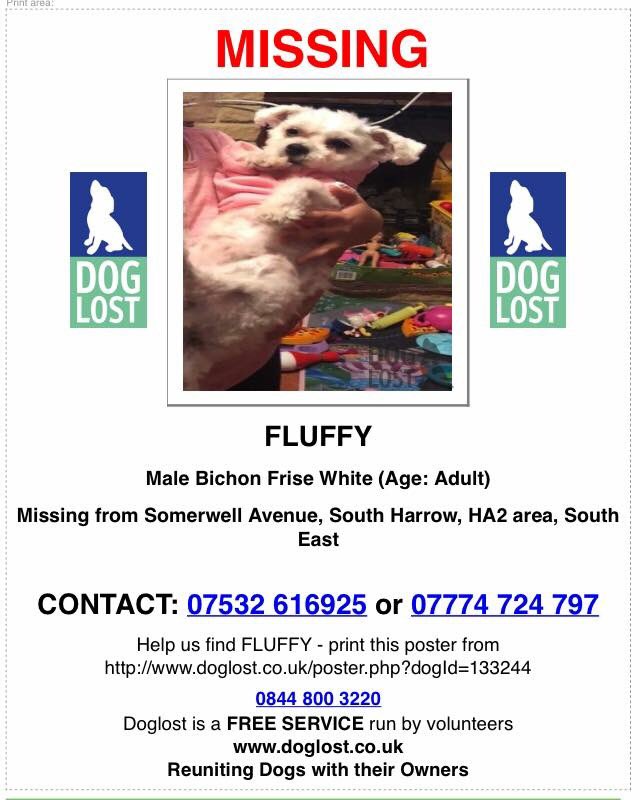 HELP: Do you recognise this woman/women? Seen picking up Fluffy from outside HIS HOME South Harrow HA2 . Not handed in yet. #lostdog #missingdog #scanne who is she?