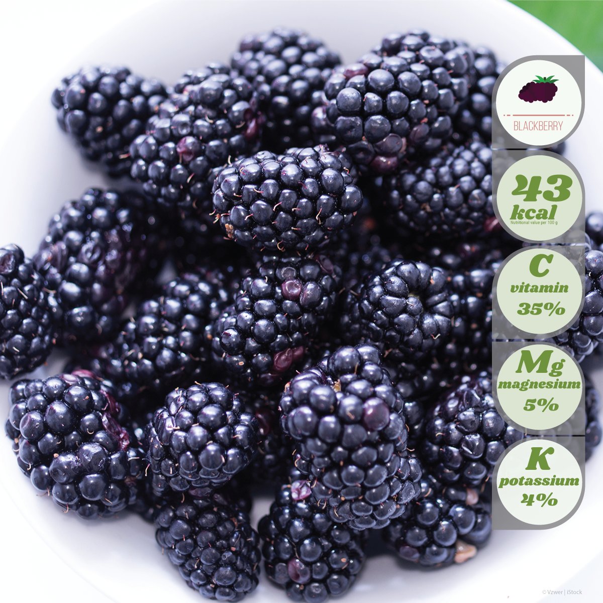 EU Climate Action on Twitter "Our FruitOfTheMonth delicious 