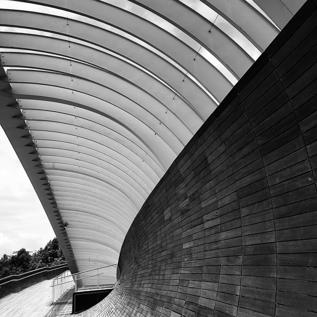 siteplandesign's tweet photo. The 10km Southern Ridges walk trail winds its way through the forest floor and canopy and across the stunning Henderson Waves. 📷Southern Ridges Walk Trail #cityinagarden #forestinacity #singapore #southernridges #hendersonwaves #forestcanopytrail https://t.co/8cpSC4EhJ4
