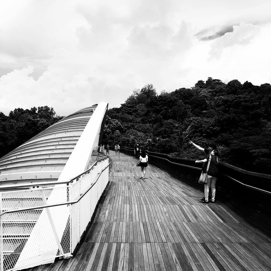 siteplandesign's tweet photo. The 10km Southern Ridges walk trail winds its way through the forest floor and canopy and across the stunning Henderson Waves. 📷Southern Ridges Walk Trail #cityinagarden #forestinacity #singapore #southernridges #hendersonwaves #forestcanopytrail https://t.co/8cpSC4EhJ4