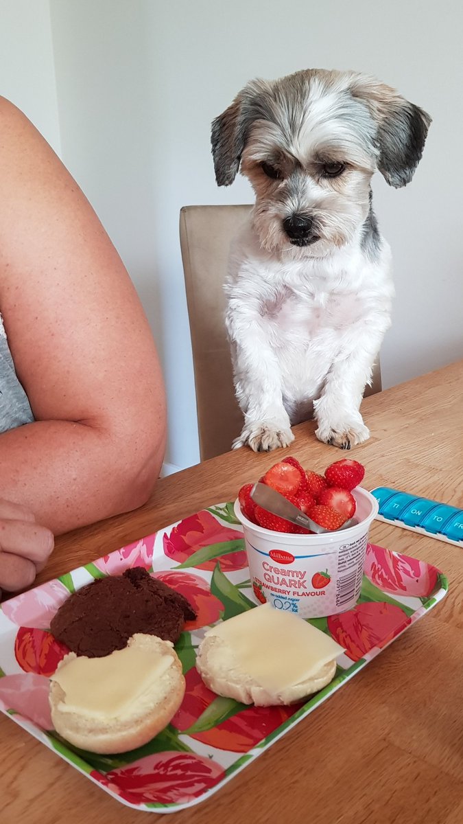 Hela familjen samlad till frukost.