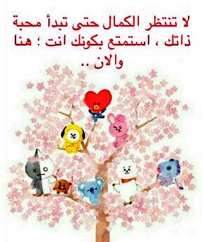 لا تنتظر الكمال حتى تبدأ محبة ذاتك ، استمتع بكونك انت ؛ هنا والان ..