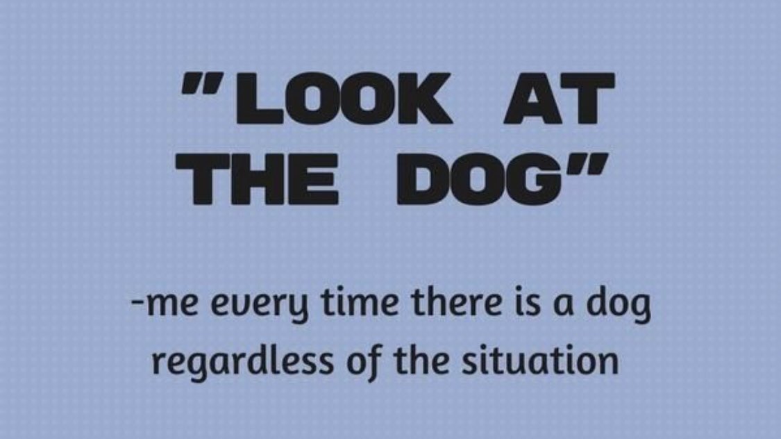 Retweet if this is you! 🐶