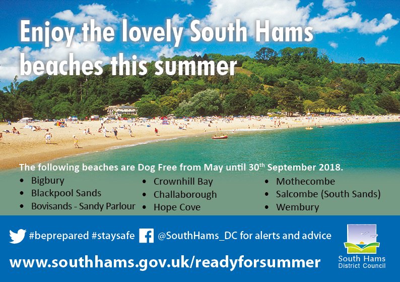 Not sure if your four-legged friend will be allowed on the beach?